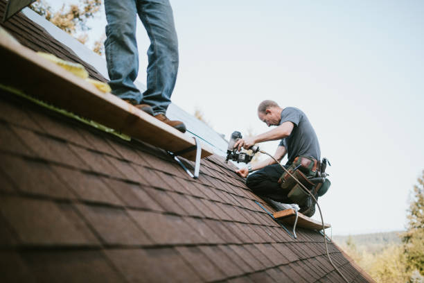 Professional Roofing Contractor in Manchaca, TX