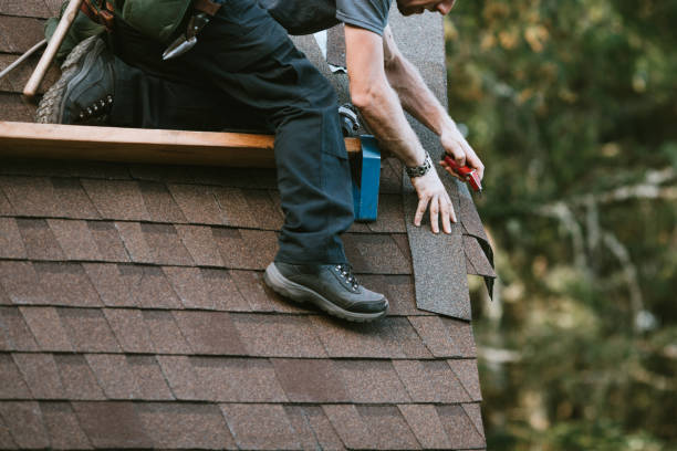 Roof Gutter Cleaning in Manchaca, TX